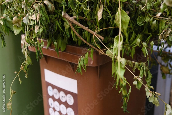 Fototapeta Bio waste container. Brown trash bin with dry leaves. Composting waste