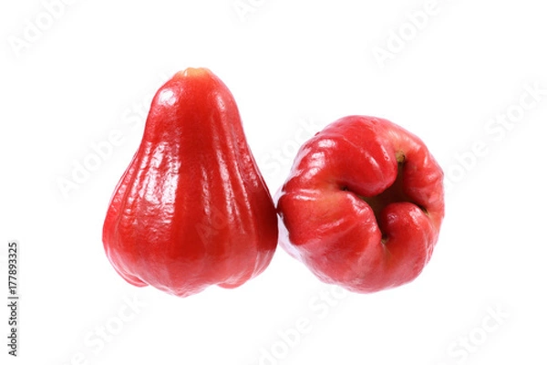 Obraz two rose apples isolated on white