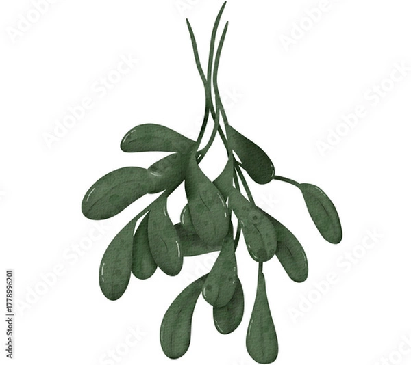 Obraz Watercolor Mistletoe Sprig