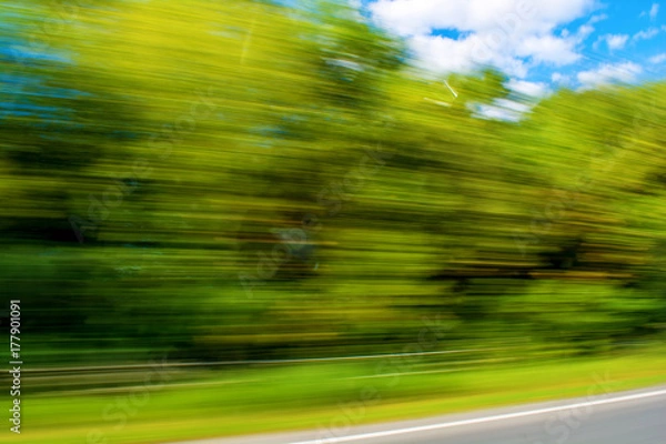 Obraz Photo of blurred green plants, motion background