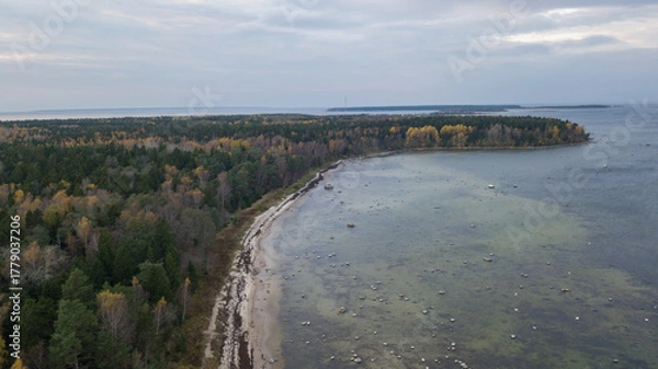 Obraz aero view to coastline