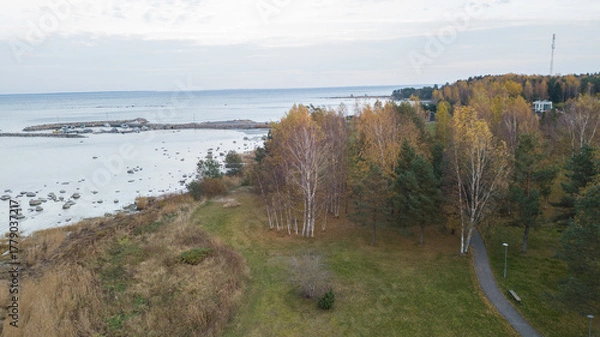 Obraz aero view to coastline