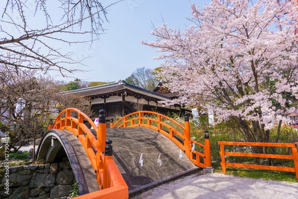 Obraz 京都　下鴨神社の桜と輪橋