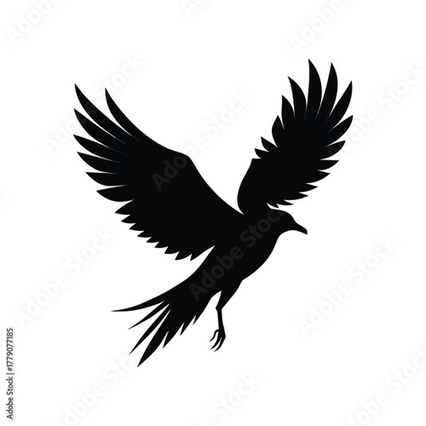 Obraz flying eagle silhouette vector illustration