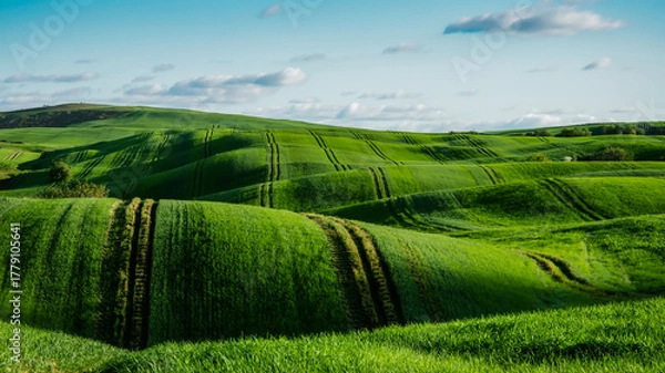 Obraz A vibrant landscape photograph of rolling green hills with distinct tractor tire tracks creating diagonal lines across the terrain.