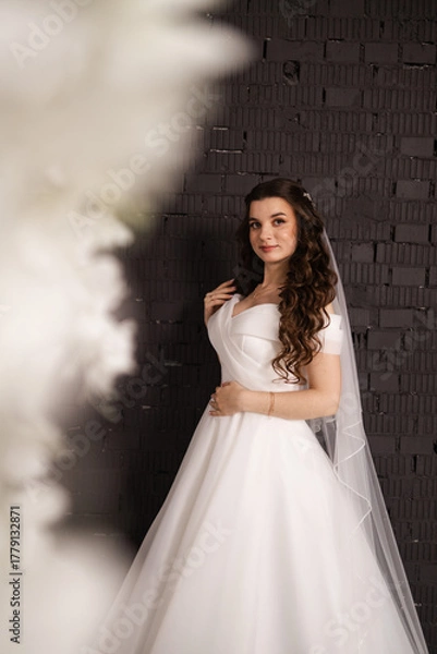 Obraz Portrait of a beautiful girl bride in a long wedding dress with an elegant hairstyle.