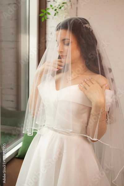 Obraz Closeup shot of elegant, brunette bride in vintage white dress posing under veil closeup. Bride portrait wedding makeup and hairstyle, fashion bride. Beautiful bride in veil.