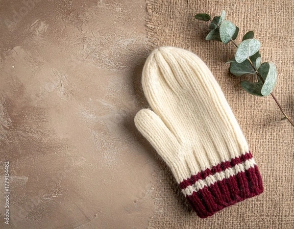 Fototapeta Knitted mitten with eucalyptus branch on beige textured surface.
