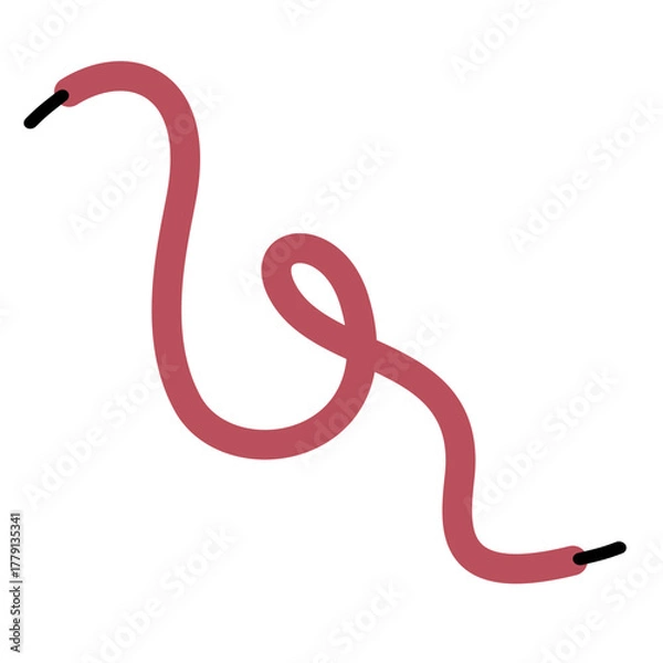Obraz Shoelace Illustration