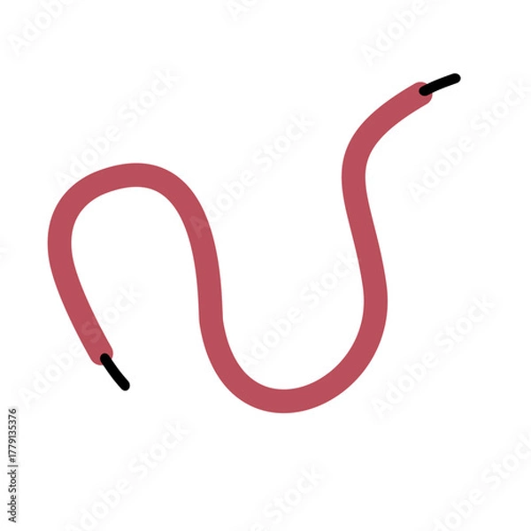 Obraz Shoelace Illustration