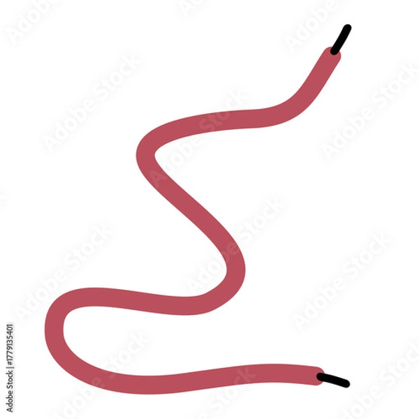 Obraz Shoelace Illustration