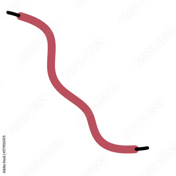 Obraz Shoelace Illustration