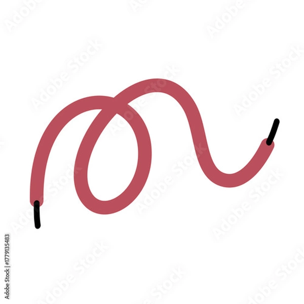 Obraz Shoelace Illustration