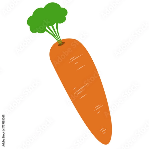 Obraz Carrot Vegetable Illustration