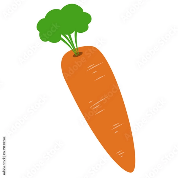 Obraz Carrot Vegetable Illustration