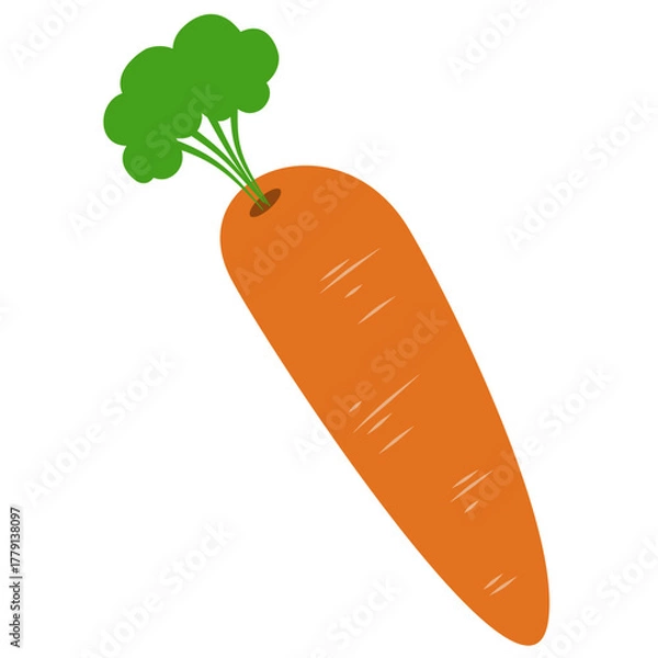 Obraz Carrot Vegetable Illustration