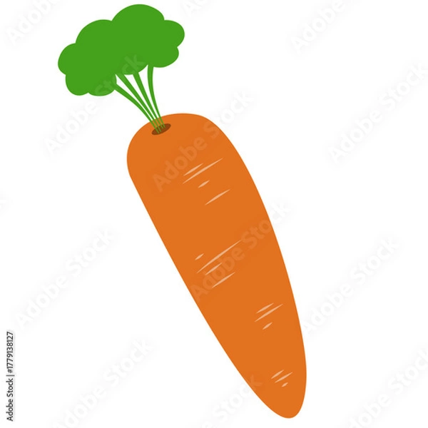 Obraz Carrot Vegetable Illustration