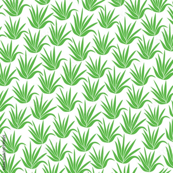 Fototapeta background pattern with aloe plant icons