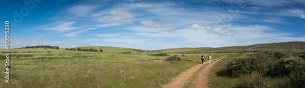 Fototapeta A family walk on a farm near Darling, South Africa under a cloudy blue sky