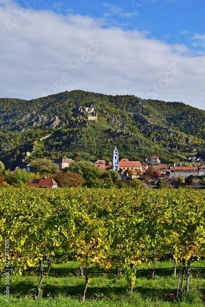 Fototapeta Dürnstein un die Weingüter im Herbst, vertikal