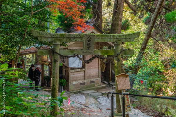 Fototapeta 神龍八大龍王神社