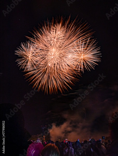 Fototapeta Bicester Round Table 2025 Firework Display