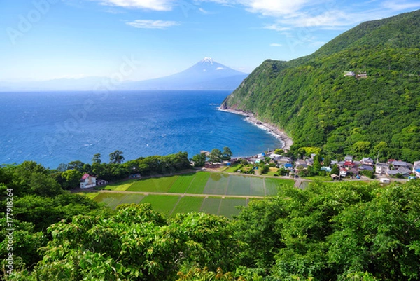 Obraz 西伊豆の海岸と富士山