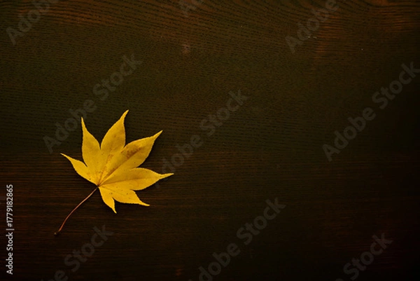 Fototapeta 暗い木のテーブルに置かれた一枚の紅葉の葉