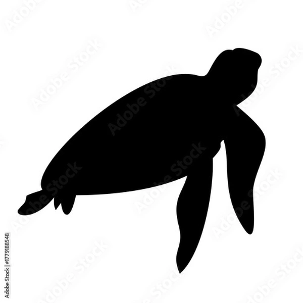 Obraz Turtle Silhouette 