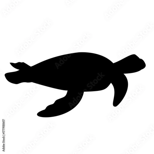 Obraz Turtle Silhouette 