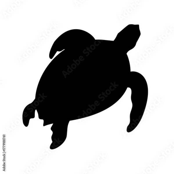 Obraz Turtle Silhouette 