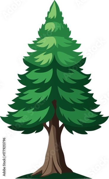 Fototapeta Cypress tree