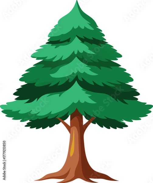 Fototapeta Cypress tree