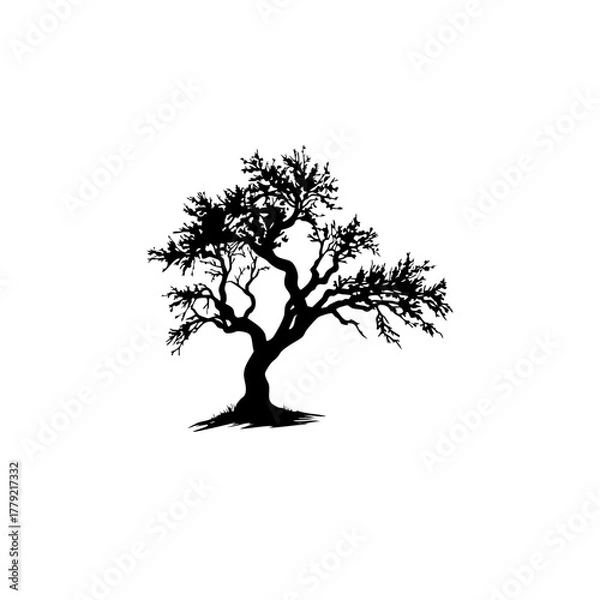 Fototapeta Black Silhouette of Old Twisted Tree - Minimalist Nature Art & Symbolic Illustration