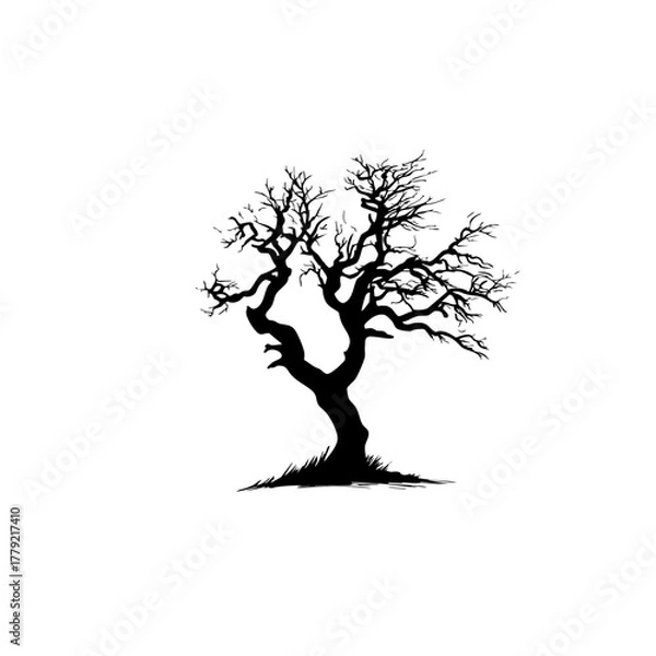 Fototapeta Black Silhouette of Old Twisted Tree - Minimalist Nature Art & Symbolic Illustration
