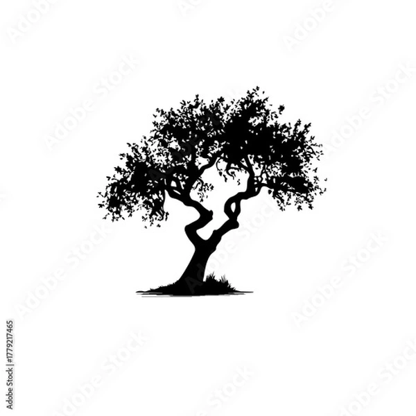 Fototapeta Black Silhouette of Old Twisted Tree - Minimalist Nature Art & Symbolic Illustration