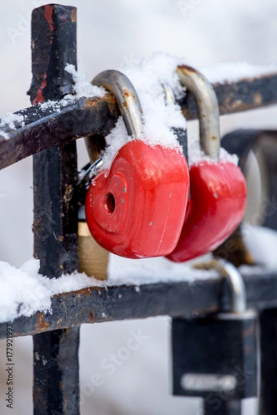 Obraz Red love locks in snow