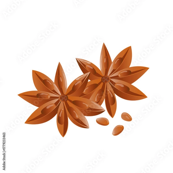 Fototapeta Star Anise with Seed Pods