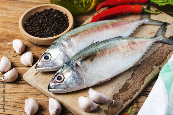 Obraz Indian mackerel Rastrelliger kanagurta