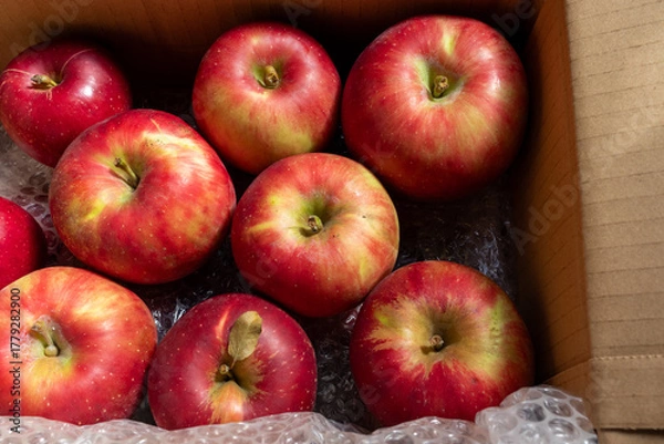 Obraz 日本の産地直送箱入りリンゴ