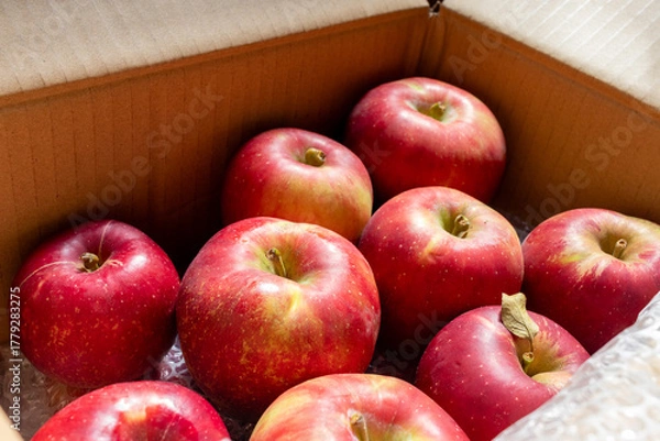 Obraz 日本の産地直送箱入りリンゴ