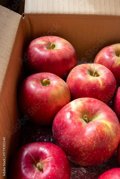 Obraz 日本の産地直送箱入りリンゴ