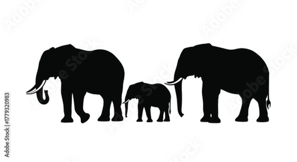Obraz Silhouette of an elephant family isolated on white background