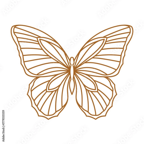 Obraz Elegant golden butterfly line art design element for branding and artistic projects, evoking beauty, transformation, and natural grace in minimalist style