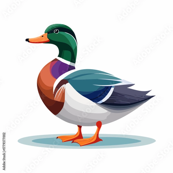 Fototapeta 2D animation style duck isolated on white