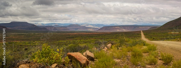 Fototapeta A Karoo country road in South Africa stretches out to the horizon with mountains and clouds in the background 