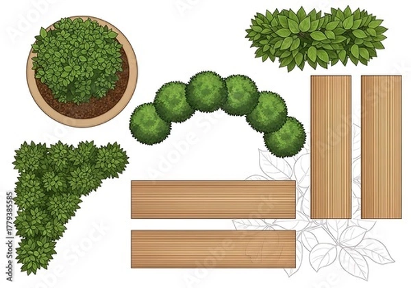 Obraz Topiary plant shapes and wooden slats isolated on white background