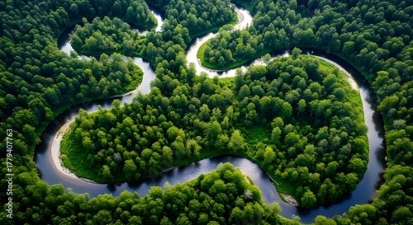 Obraz Aerial view of a winding river through a lush green forest landscape