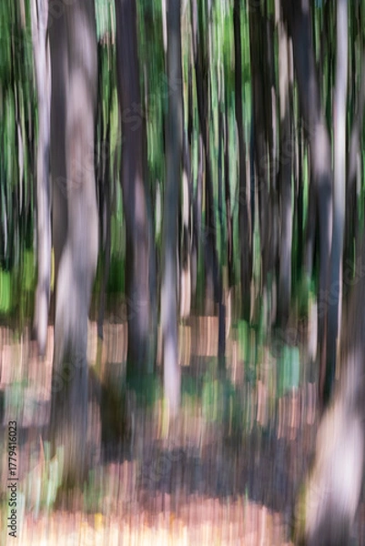 Obraz Forest ICM