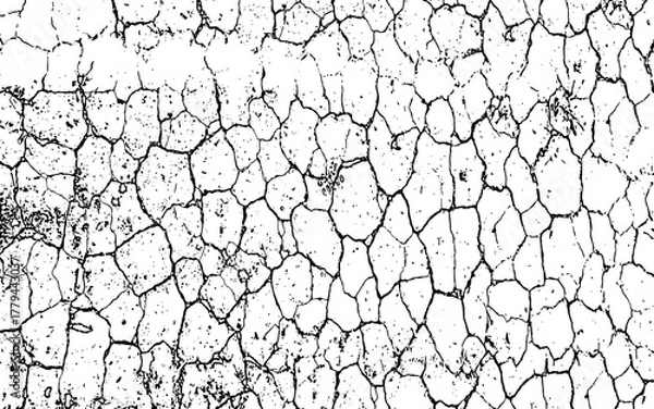 Obraz Dry cracked old wood bark and wall textures with an abstract earth pattern suggesting drought and natural grunge